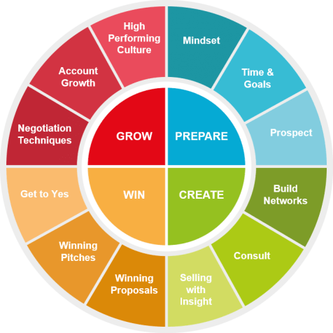 Sales transformation model - Natural Training